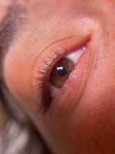 Nos prestations sur le secteur de proche de Lyon 2 Bellecour